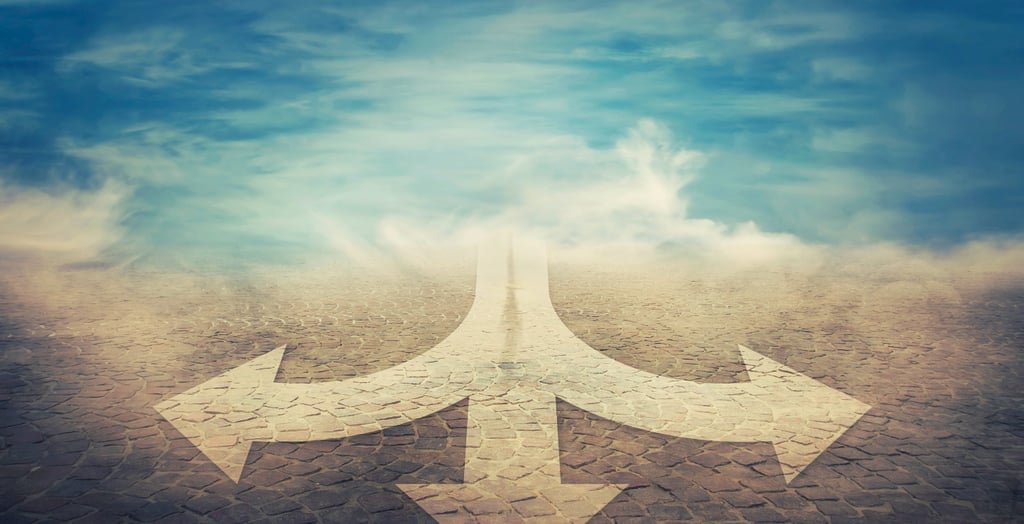 Visual representation of school choice options